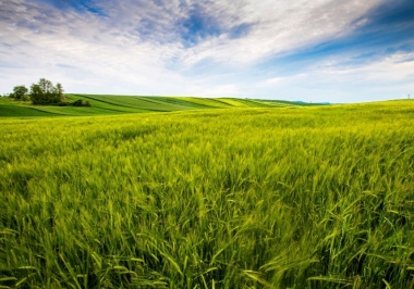 Fazendas à Venda no Acre: investir em terras é um bom negócio?