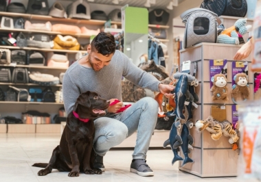 7 dicas para quem quer comprar um Pet Shop