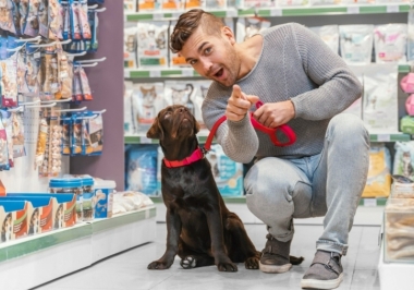 Entre Patas e Negócios: 5 Dicas para Comprar um Pet shop
