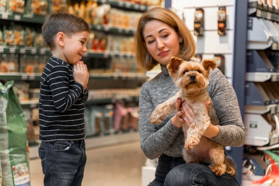 Pet Shop à Venda: O Guia Completo para Encontrar e Comprar o Seu Próprio Negócio no Mundo Pet