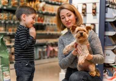 Pet Shop à Venda: O Guia Completo para Encontrar e Comprar o Seu Próprio Negócio no Mundo Pet