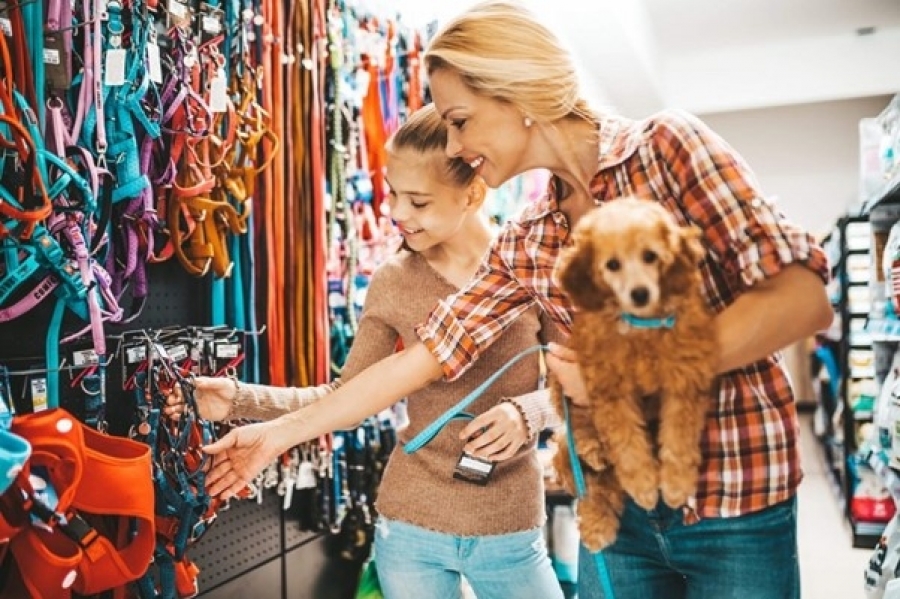  Pet Shop à venda em Salto-SP
