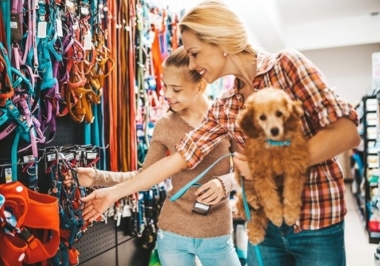 Pet Shop à venda em Salto-SP