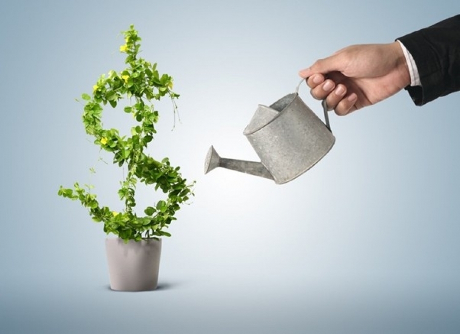 Empresas à venda no Mato Grosso do Sul: 5 dicas de investimento