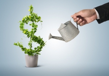 Empresas à venda no Mato Grosso do Sul: 5 dicas de investimento