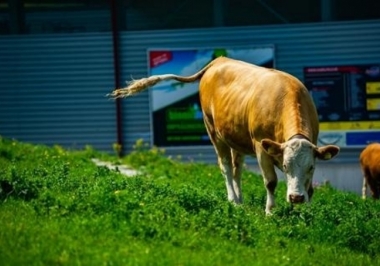 Vendo fazenda com dupla aptidão: por que esse é um bom momento para investir?