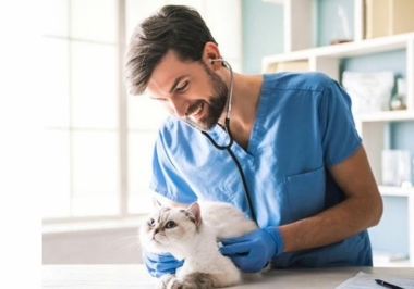 Clínica veterinária à venda, dicas para uma boa gestão