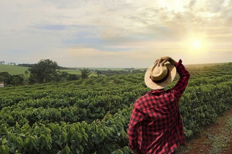 Onde encontrar grandes fazenda à venda?