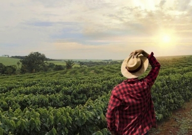 Onde encontrar grandes fazenda à venda?