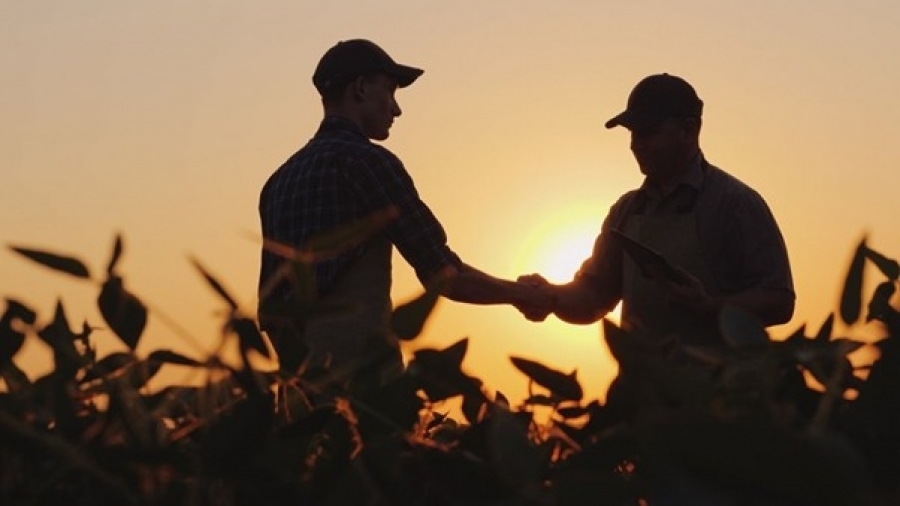 Vendo fazenda: como vender um imóvel rural?