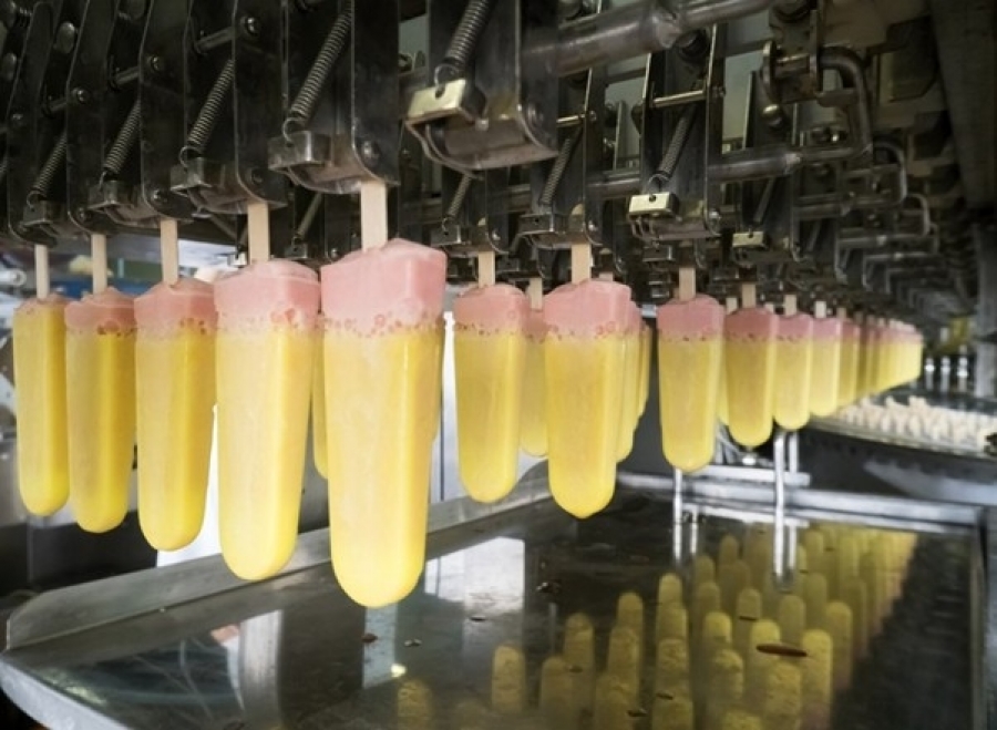 Fábrica de sorvetes à venda: saiba como lucrar nesse ramo