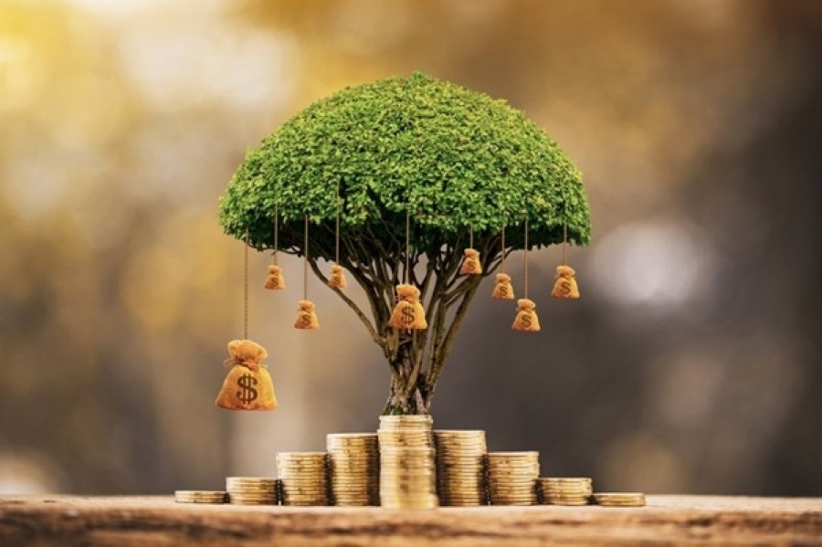 Descubra como ganhar dinheiro investindo em um bom negócio