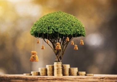 Descubra como ganhar dinheiro investindo em um bom negócio