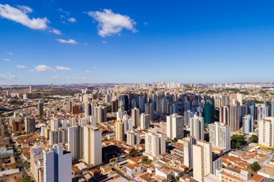 Negócios lucrativos em Ribeirão Preto-SP