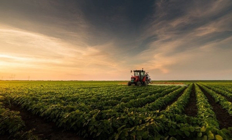 Fazendas a venda: conheça 6 cuidados na hora de adquirir a sua