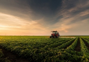Fazendas a venda: conheça 6 cuidados na hora de adquirir a sua