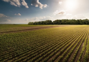 Dicas para se planejar financeiramente para comprar uma fazenda