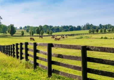Chácara à venda: como identificar as melhores oportunidades?
