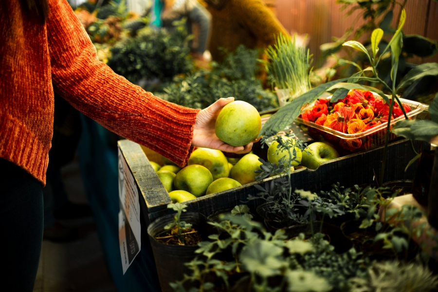 Vendo Loja de Produtos Agrícolas: O Guia para Preparar seu Negócio para a Venda