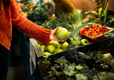 Vendo Loja de Produtos Agrícolas: O Guia para Preparar seu Negócio para a Venda