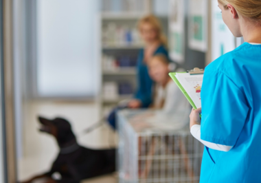 Hospital veterinário à venda: o que saber antes de comprar um hospital veterinário?