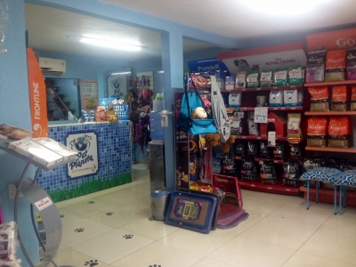 Pet Shop + Clínica Veterinária, 2 andares, área nobre