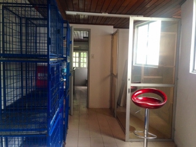 Pet Shop + Clínica Veterinária, 2 andares, área nobre