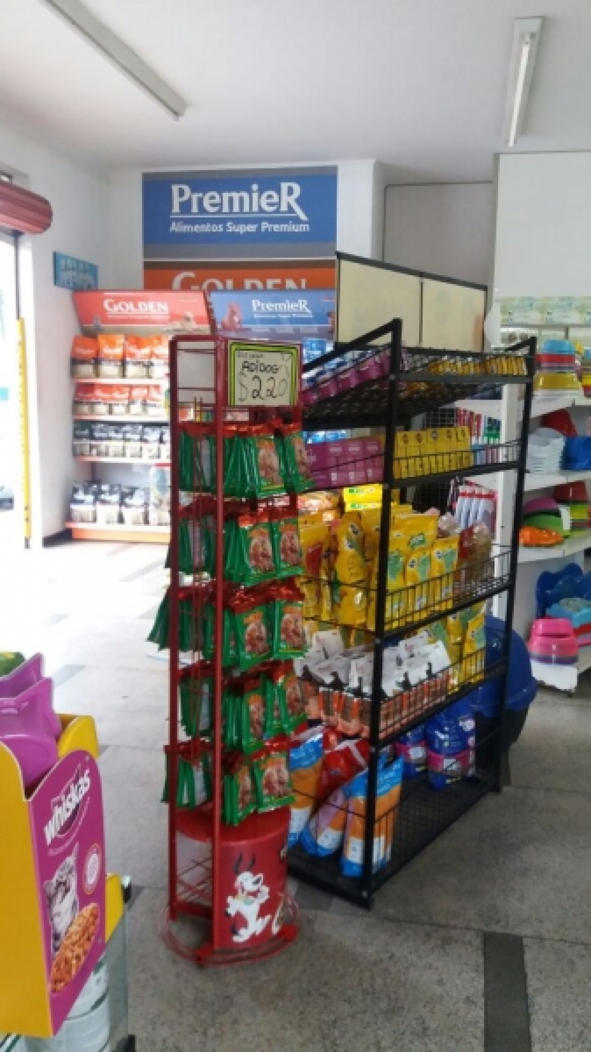 pet-shop-centro-suzano-quero-um-neg-cio