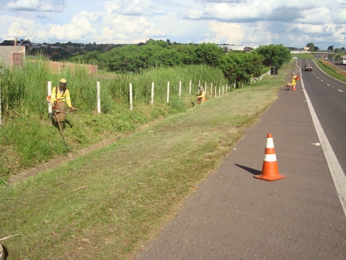 Vendo Construtora de Obras e Conservação Rodoviária