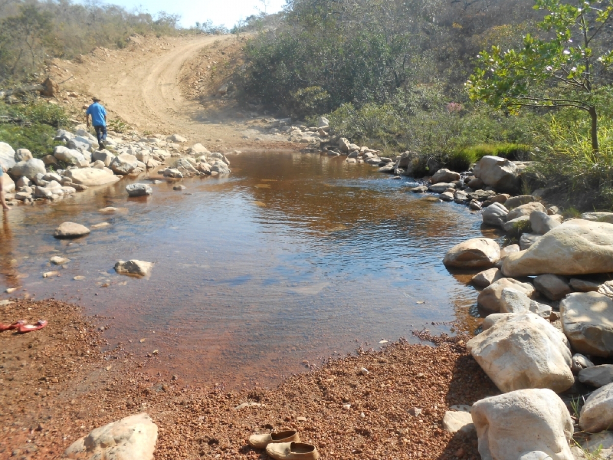 fazenda com 5300 hectares