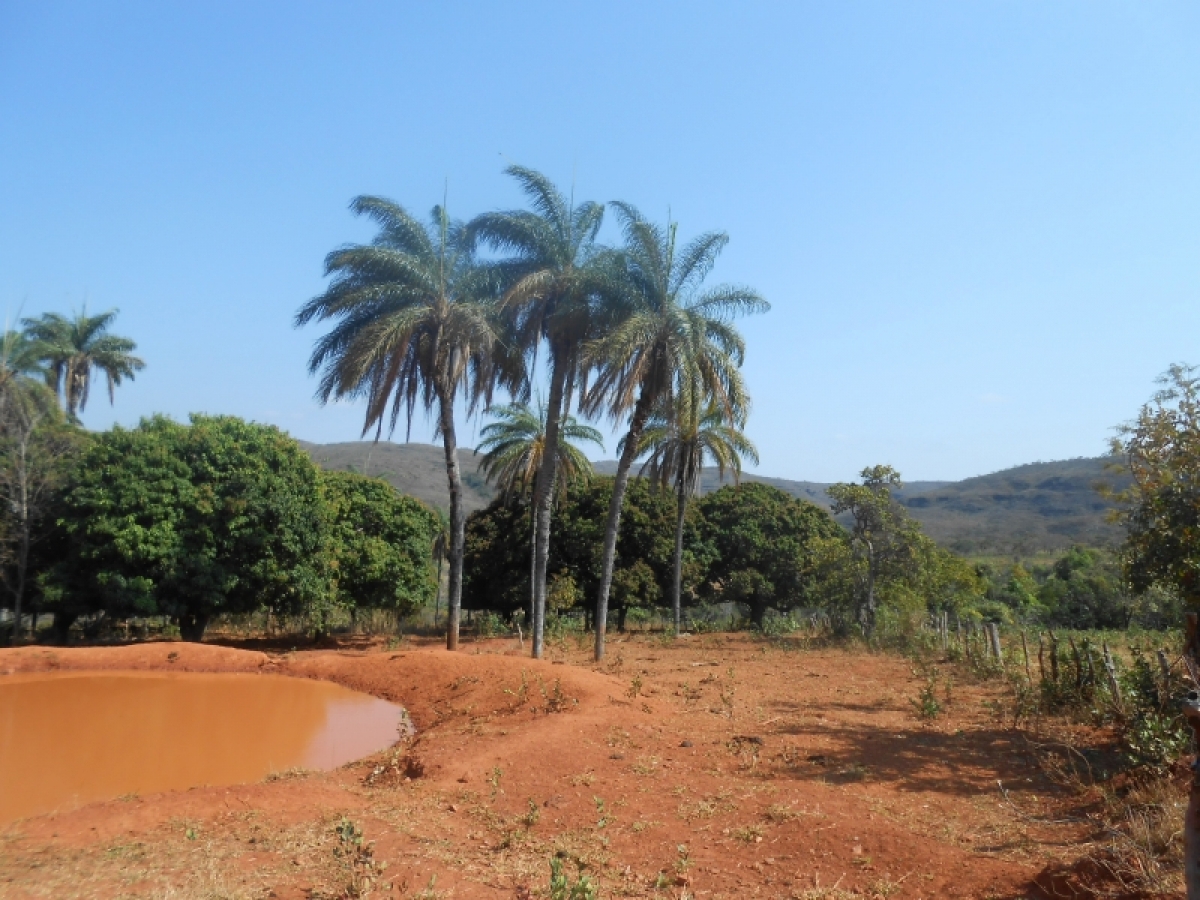 fazenda com 5300 hectares