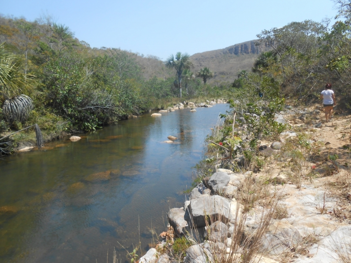 fazenda com 5300 hectares