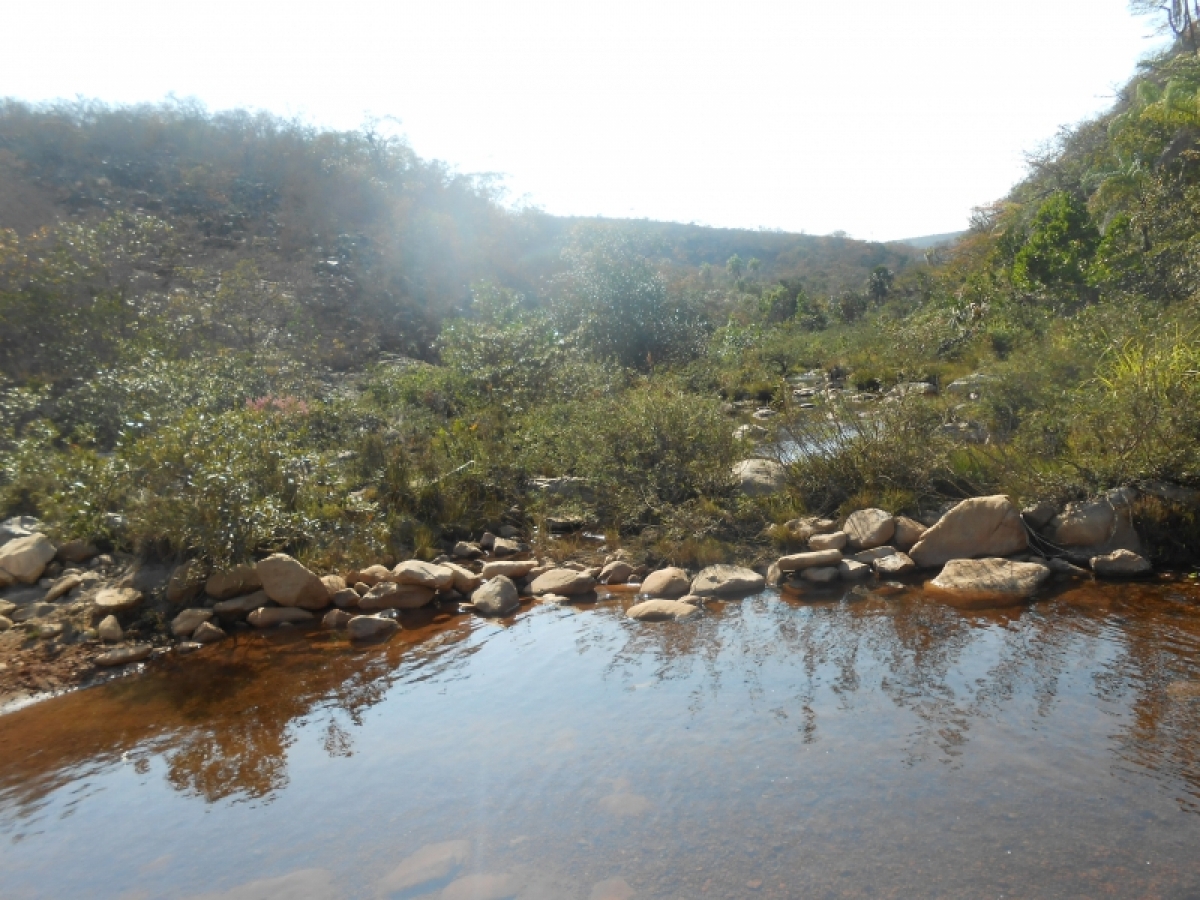 fazenda com 5300 hectares