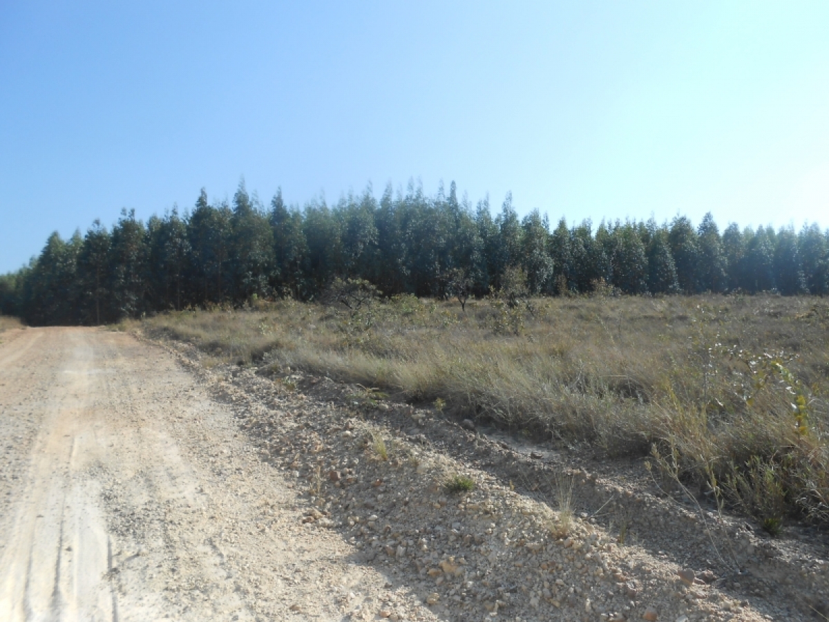 fazenda com 5300 hectares