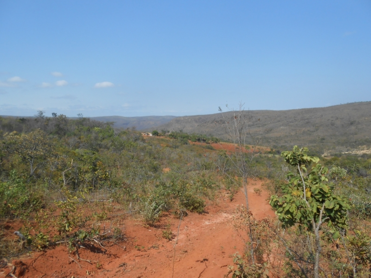 fazenda com 5300 hectares