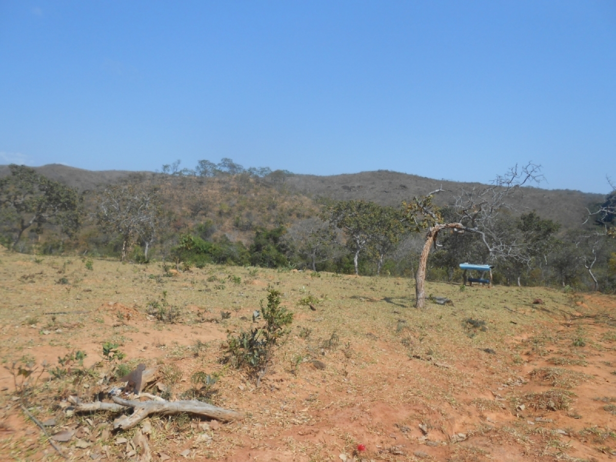 fazenda com 5300 hectares