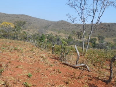 fazenda com 5300 hectares