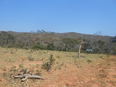 fazenda com 5300 hectares