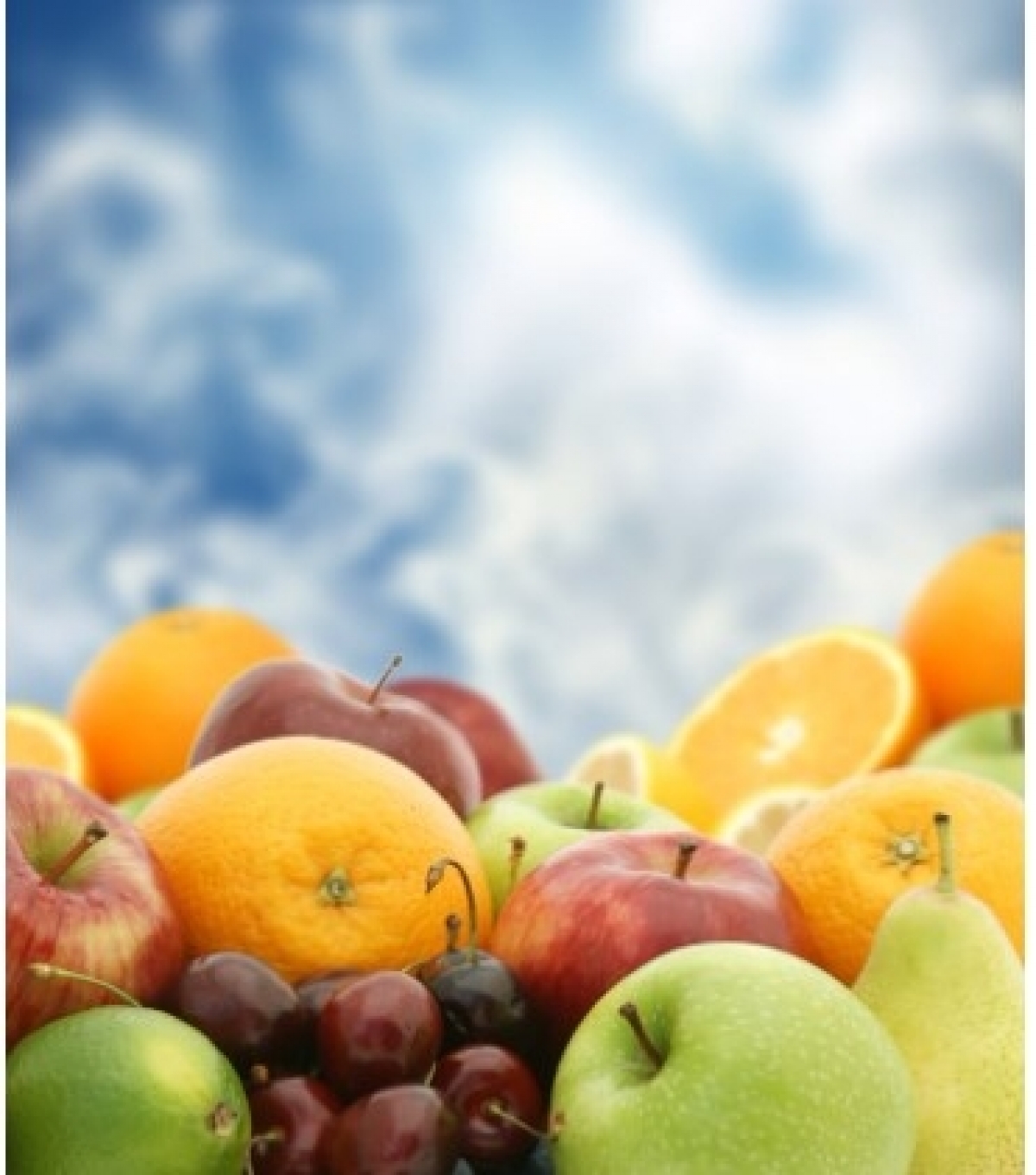 INDÚSTRIA FABRICANTE DE POLPA DE FRUTAS CONGELADAS E DERIVADOS