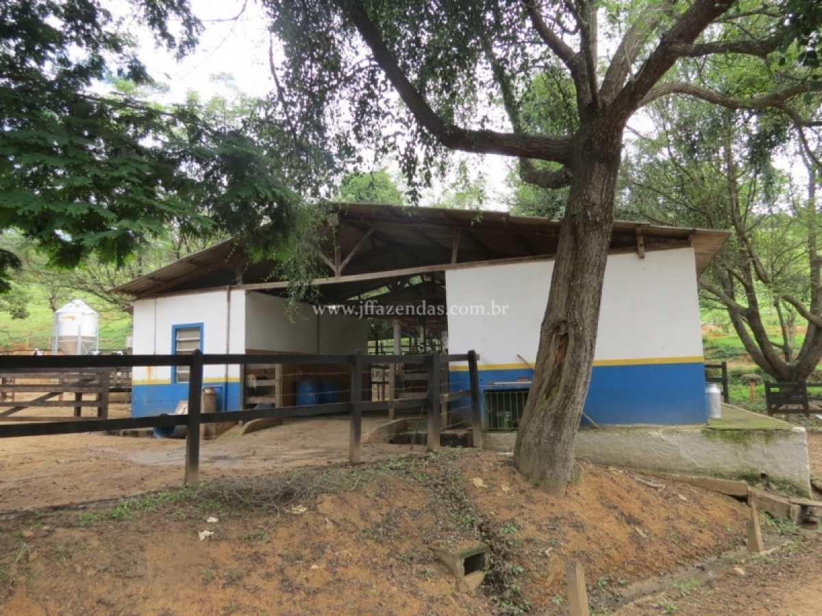 Fazenda em Guarani - 313 hectares