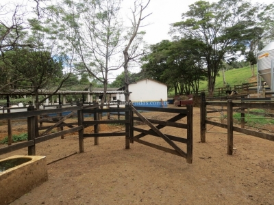 Fazenda em Guarani - 313 hectares