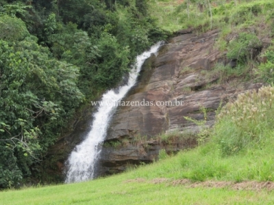 Fazenda em Valença - 1610 hectares