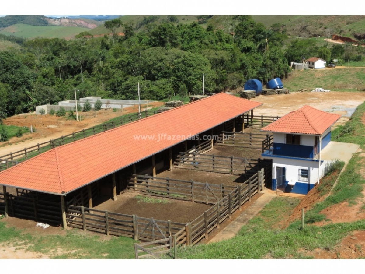 Fazenda em Pequeri - MG 1466 hectares