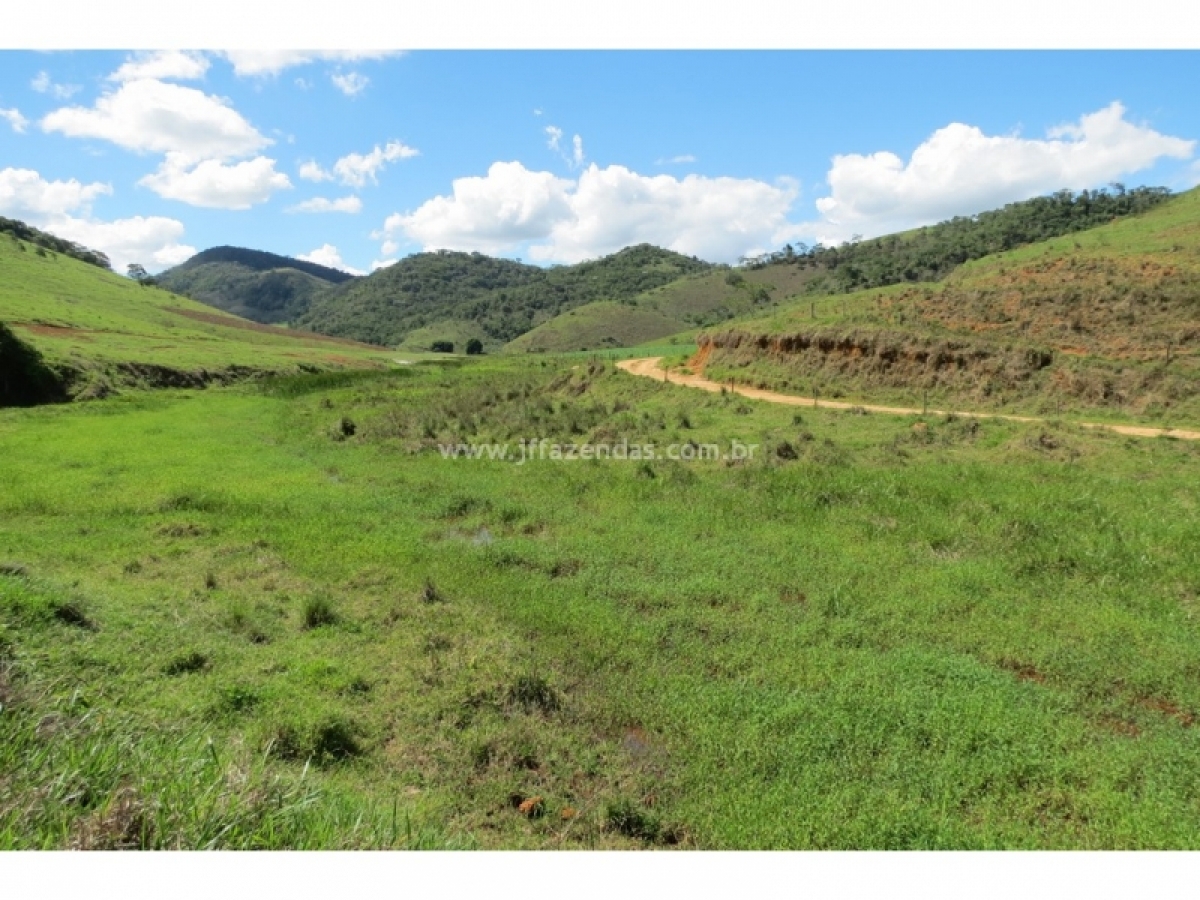 Fazenda em Pequeri - MG 1466 hectares