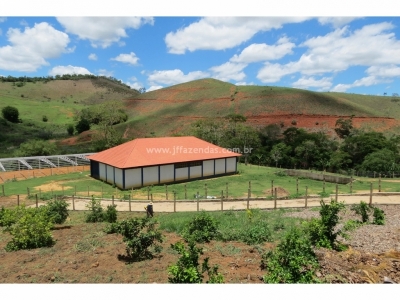 Fazenda em Pequeri - MG 1466 hectares