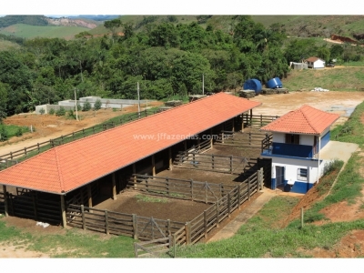 Fazenda em Pequeri - MG 1466 hectares