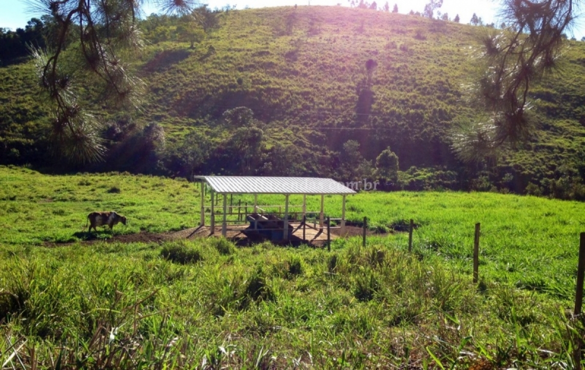 Fazenda em Juiz de Fora  - 84.15.58 hectares