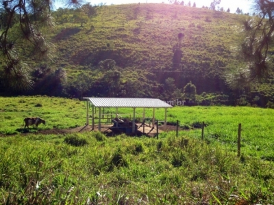 Fazenda em Juiz de Fora  - 84.15.58 hectares