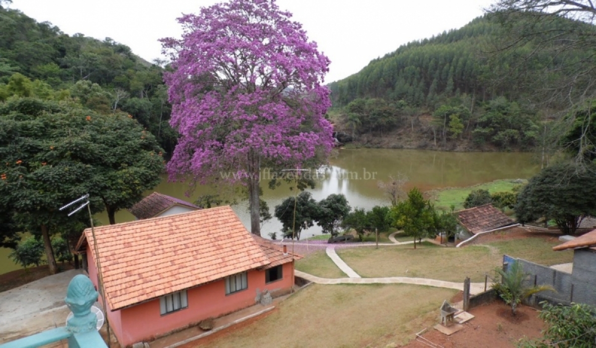 Fazenda de alto luxo - 188 hectares