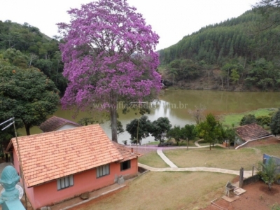 Fazenda de alto luxo - 188 hectares